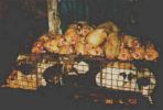 Dog carcasses piled on top of a cage of live ones awaiting the same fate. Is this lack of hygiene a result of ignorance or a sadistic wish to make the animals aware of what is to come?