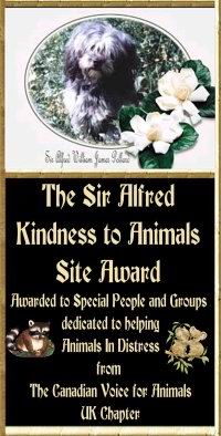 Canadian Voice For Animals